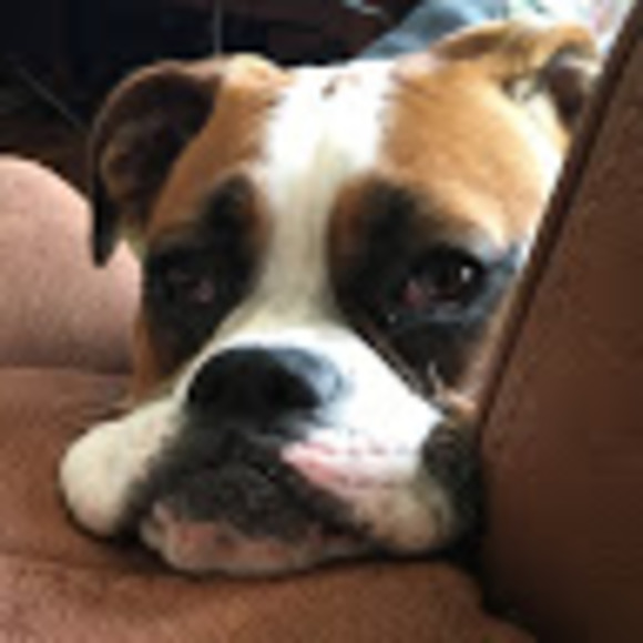 Meet your Posher, Lynsey - Picture 1 of 1